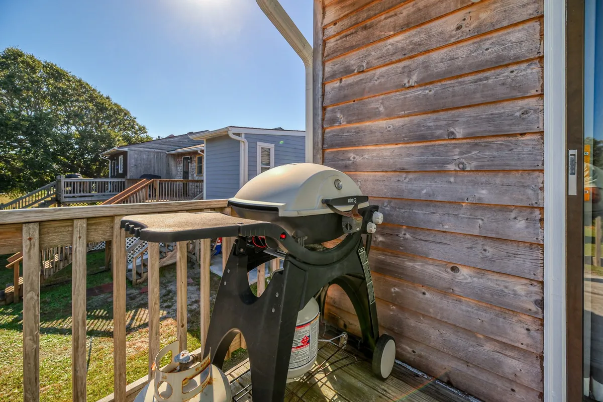The image showcases an inviting outdoor area with a grill, wooden siding, and ample open space. The scene conveys opportunities for barbecuing, outdoor dining, and relaxed moments—settings where pets can comfortably join family activities.